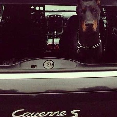 Денис Фролов