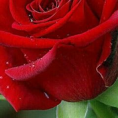 Елена Лобанова, 02.05, Калуга