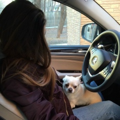 Lily Iqbal, 20.11.1995, Portland