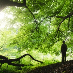 Радмир Мусаев, Ташкент
