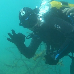 Игорь Доценко, Ростов-на-Дону