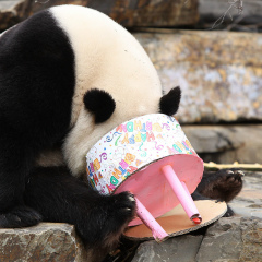 Сергей Безруков, 01.04, Санкт-Петербург