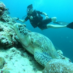 Александр Ни, 14.11.1992, Алматы