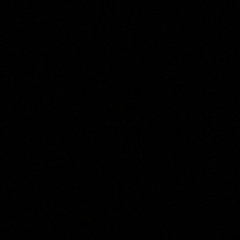 And P, Ужгород