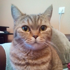 Маша Смирнова