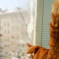 Yuriy Кот, 08.02, Москва