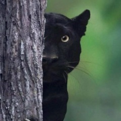 Алла Литус, 19.06.1992, Ростов-на-Дону