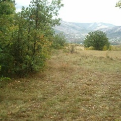 Коля Zhivica, 08.12.1993, Симферополь