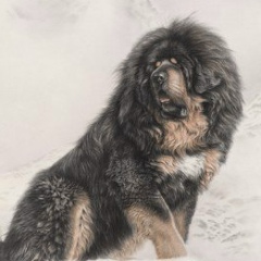 Руслан Нурисламов, 16.03, Уфа