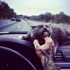 Arsen Ibragimov, 14.04