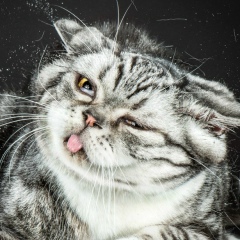 Сергей Тамаренко, 28.01, Астрахань