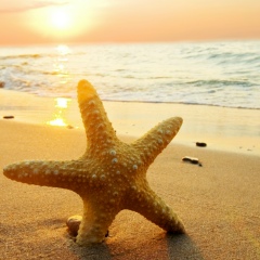 Вадим Дмитриев, 23.09, Москва