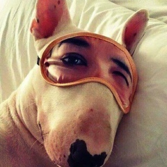 Виталий Пащенко, 05.07.1985, Днепр (Днепропетровск)