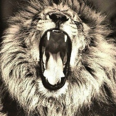 Алан Мурадов