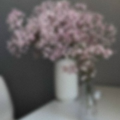 Amalia Gadzhieva, 24.01