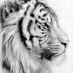 Антон Иванов, 08.09.1986, Калининград