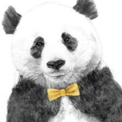 Ilimbek Japarkulov, 14.03.1994