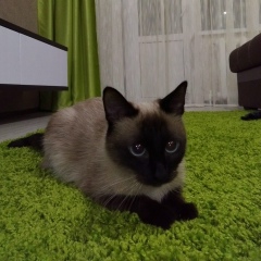 Наталья Нуриахметова, 11.10, Ижевск