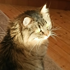 Татьяна Мангустова, 24.06.1972, Санкт-Петербург