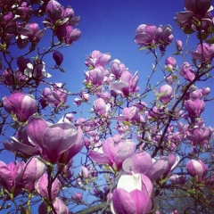 Светлана Ковалева, 23.11, Санкт-Петербург