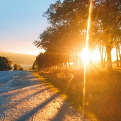 Рашид Кунтаев, 07.03