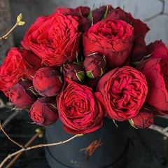 Наташа Савчук, 03.05.1983, Киев