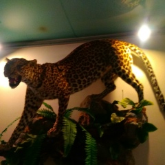 Александр Ширяев, 03.02.1976, Липецк