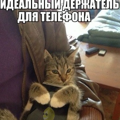 Мырзахмет Алихан, Алматы