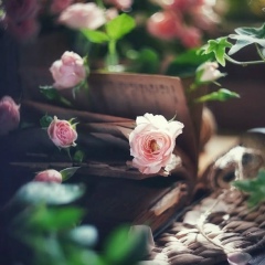 Анжелика Резепова, 23.07