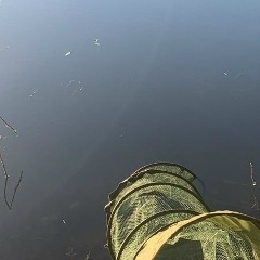 Миша Фивейский, 25.08