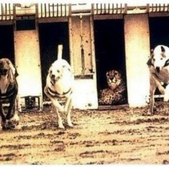 Ирина Хака, 26.10, Астана