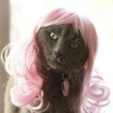 Андрей Бабиров, 31.03, Санкт-Петербург