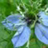 Надежда Гриценко, 29.09.1983, Киев