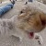 Иван Петров, 04.10.1989, Санкт-Петербург