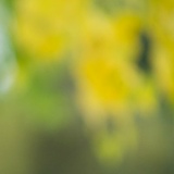 Наталья П, 04.01, Москва