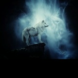 Эзиз Арсланов, 21.01.1992, Екатеринбург