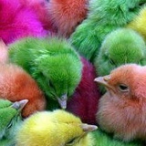 Шынгыз Стыбаев, 10.12.1989, Алматы