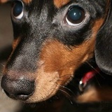 Дмитрий Урицкий, 15.04.1971, Тюмень