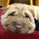 Денис Гусев, 30.05.1988