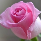 Aizhan Daribaeva, 01.10