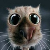 Антон Марков, 31.07.1984, Москва