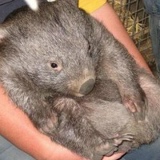 Татьяна Крижановская, 14.11, Киев