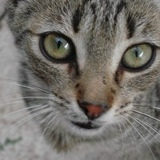 Дарья Криницкая, 11.12, Москва