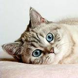 Марина Лелей, 04.03.1984, Минск