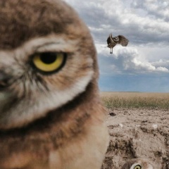 Кирилл Перевощиков, 18.02, Воткинск