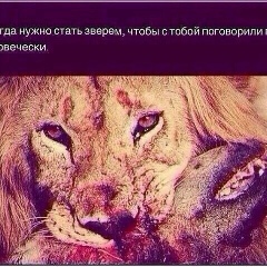 Mura Muratik, 25.11.1991, Шымкент