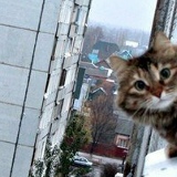 Вильям Иноземцев, 09.12.1993, Таллин