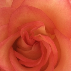 Ирина Капленко, 10.06.1984, Киев