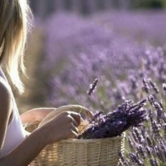 Анна Рывкина, Санкт-Петербург