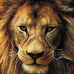 Ирисхан Макаев, 07.03.1997, Москва